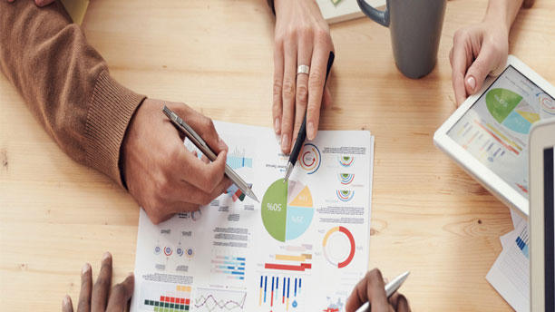 Detailed Project Report (Business Plan and Financial Model)